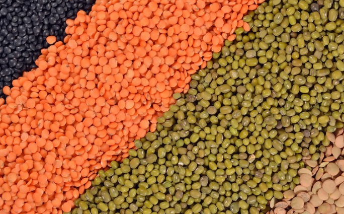 微信图片_20260402173043_55_154 微信图片_20260402173043_55_154