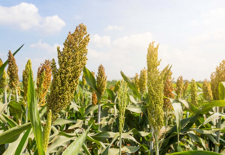 20180320132640_49603