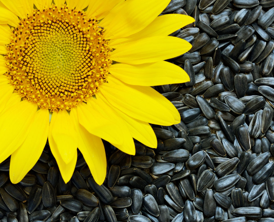 微信截图_20230914171909