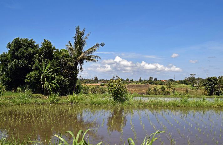 微信截图_20230420110156