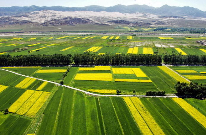 微信截图_20230322171721