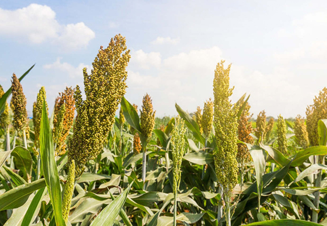 微信图片_2026-02-26_164750_678