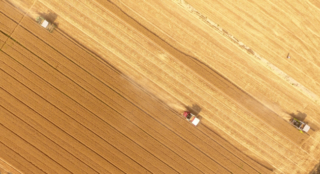 微信图片_2026-02-26_175102_659 微信图片_2026-02-26_175102_659