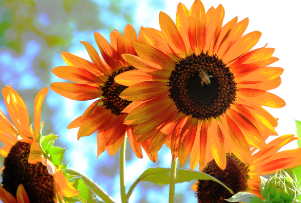 微信图片_2026-02-26_180520_285 微信图片_2026-02-26_180520_285