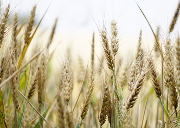 微信图片_20260402172656_51_154.png 微信图片_20260402172656_51_154.png